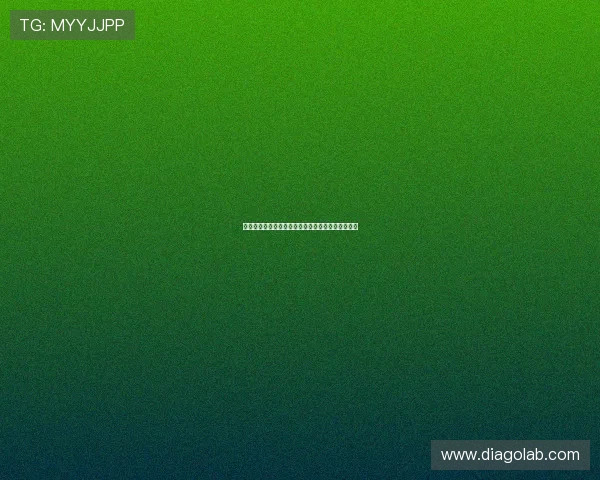 重庆飞盘队个人能力提升之路与团队协作的完美结合