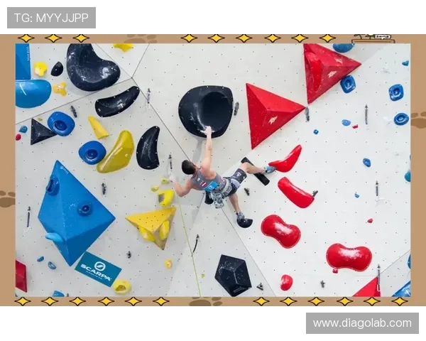 南京攀岩队的力量与激情：聚焦攀岩运动的崛起与发展